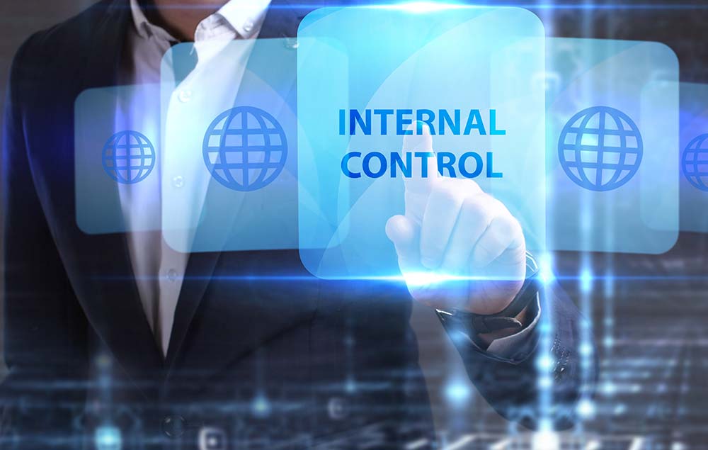 the-importance-of-internal-controls-in-organizations